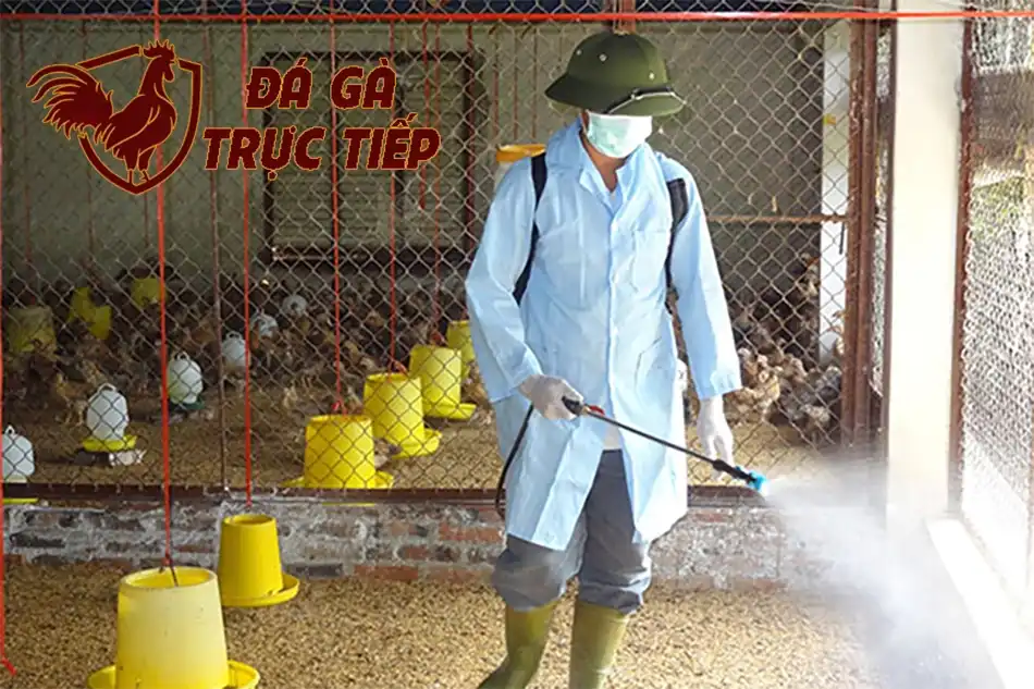 cách Phòng Bệnh Hơn Chữa Bệnh: Chiến Lược Phòng Ngừa ORT Bền Vững hfdx