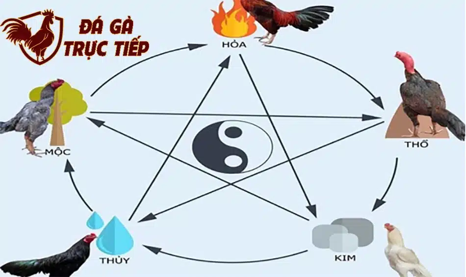 Tứ Thời Sinh Khắc (Theo Mùa) hfdx
