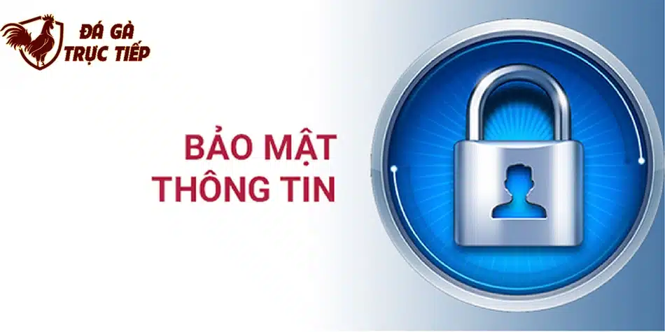 những Quy định về nội dung, bản quyền và bảo mật thông tin hfdx