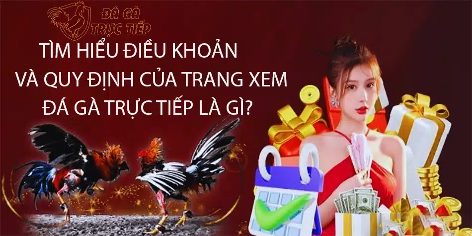 cùng Tìm hiểu điều khoản và quy định của trang xem đá gà trực tiếp là gì?